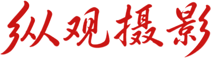纵观摄影